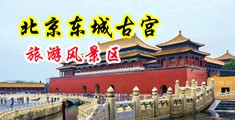 不要插了成人性爱视屏中国北京-东城古宫旅游风景区